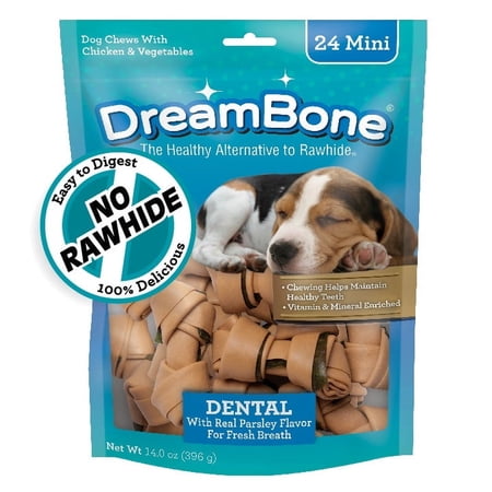 DreamBone Mini Dental Chews, Rawhide-Free Chews for Dogs, 24 Count