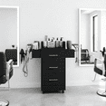 thumbnail image 1 of DreamCurship Beauty Salon Trolley Cart, Salon Cabinet with 360°Wheels, 3 Drawer, 6 Tool Holders, Barber Hair Stations for Salon Beauty Spa, Black, 1 of 7