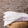 thumbnail image 1 of DreamFit® Adjustable Quattro Pillow (4 Inserts) with Washable Cover - Standard/Queen, 1 of 5