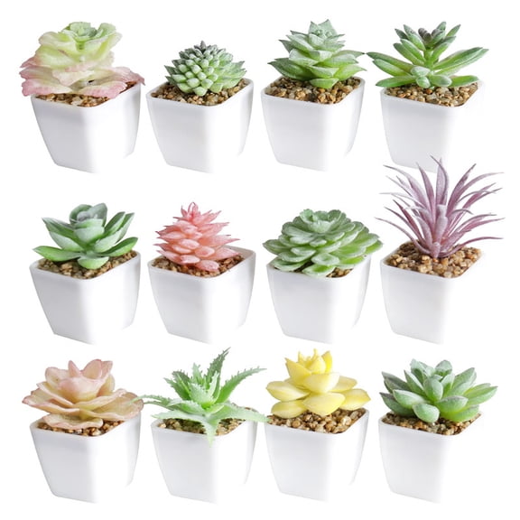 DreamNook Mini Artificial Succulents in White Plastic Pots, 12 Pack for Home & Office Desk Decor