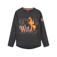 thumbnail image 1 of DreamWorks Girls Spirit T-Shirt Gray Sizes 3T-10, 1 of 3