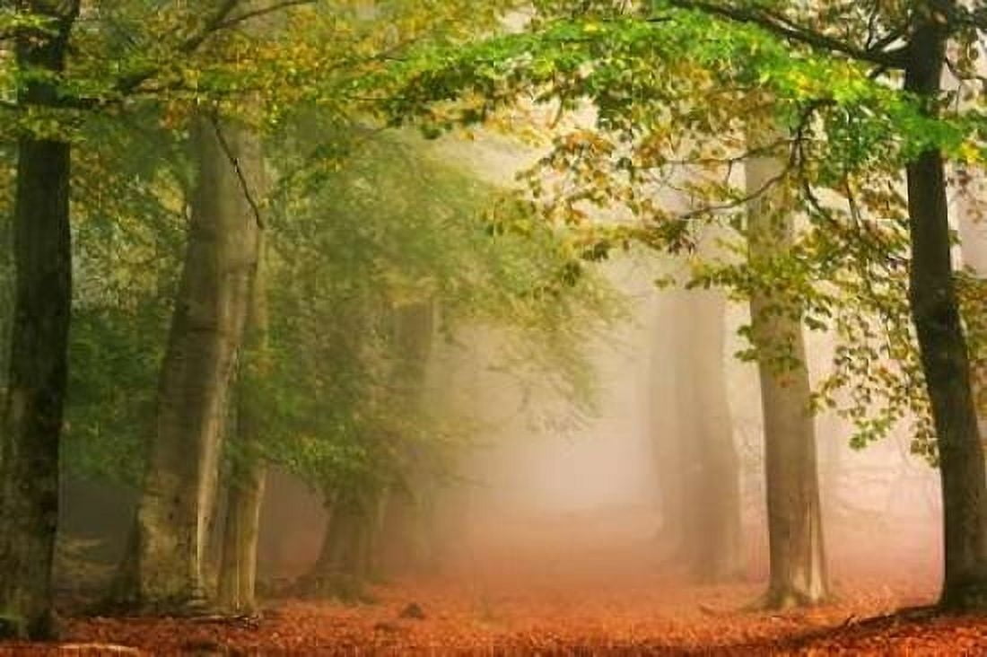 Dreambridge Canvas Art - Lars Van de Goor (12 x 18)