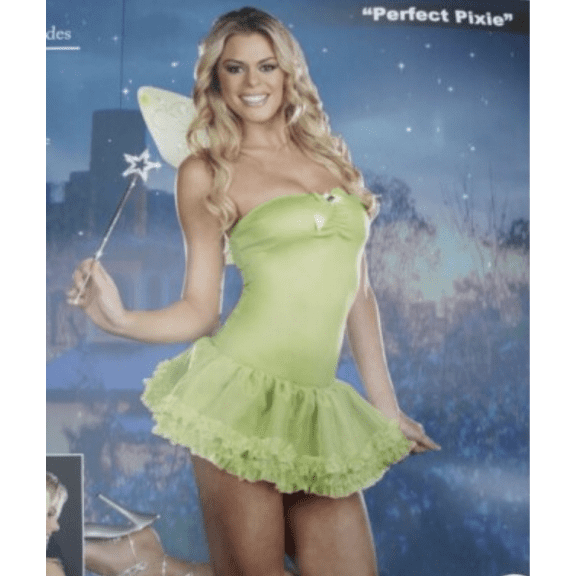 Dreamgirl - Perfect Pixie Costume (Adult Medium 6-10)