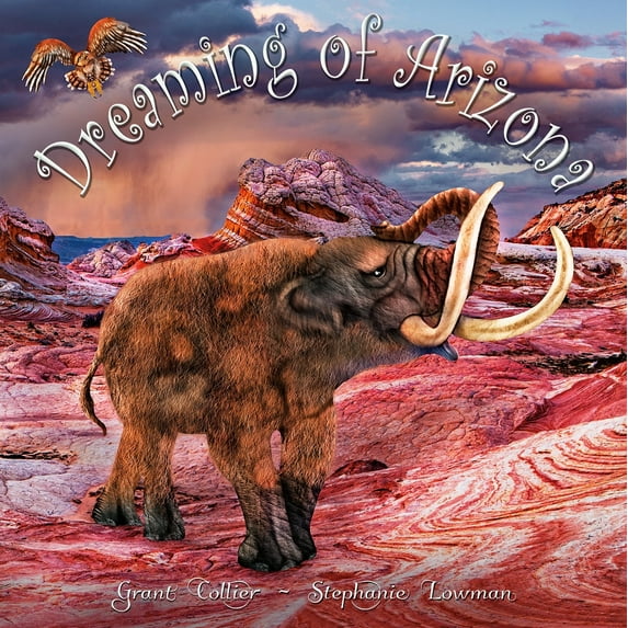 Dreaming of Arizona - Board Book Version