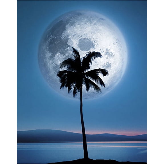 Dreamland Moonlight Palm Tree and Moon Art Print Poster 16x20