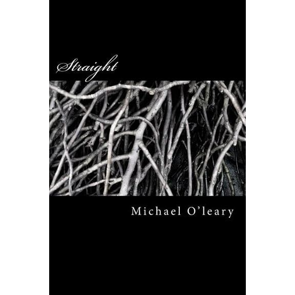 Dreamlander Express: Straight : A novel in the Irish-Maori tradition (Series #1) (Paperback)