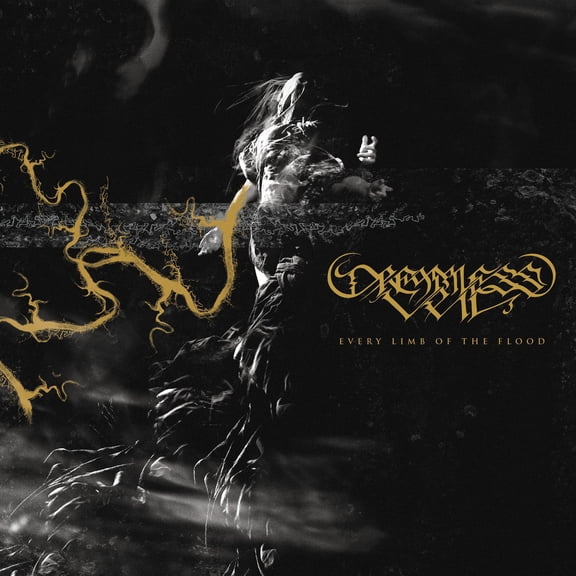 Dreamless Veil - Every Limb Of The Flood - Music & Performance - Vinyl