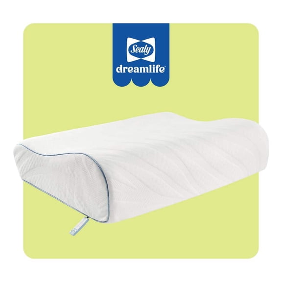 Dreamlife Contour Memory Foam Standard Pillow