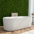 thumbnail image 1 of Dreamline Bt13x2959c Charisma 59" Free Standing Acrylic Soaking Tub - White, 1 of 7
