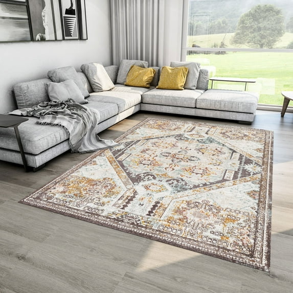 Dreammotif Vintage Style Modern Area Rug for Living Room - 4 x 6 ft Machine Washable, Thin, Non Slip Backing Carpet