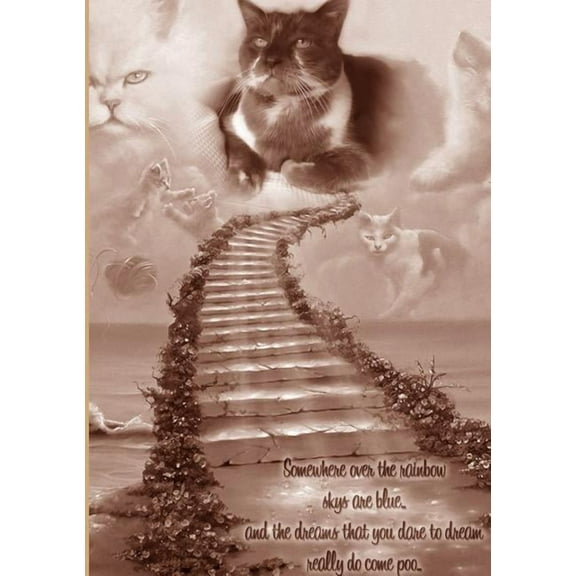 Dreams Really Do Come Poo, (Paperback)