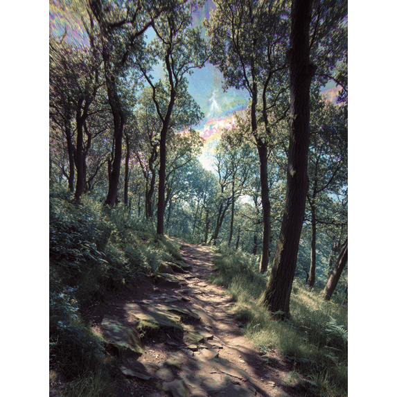 Dreamscape Forest Path Canvas Wall Art,Home Decor for Living Room Bedroom Hallway Office Cafe Meditation Room