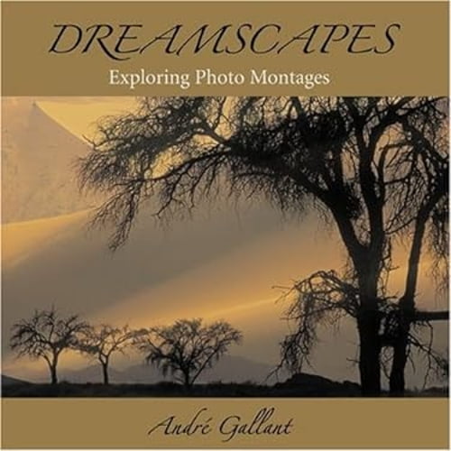 Pre-Owned Dreamscapes : Exploring Photo Montages (Other) 9780973471403