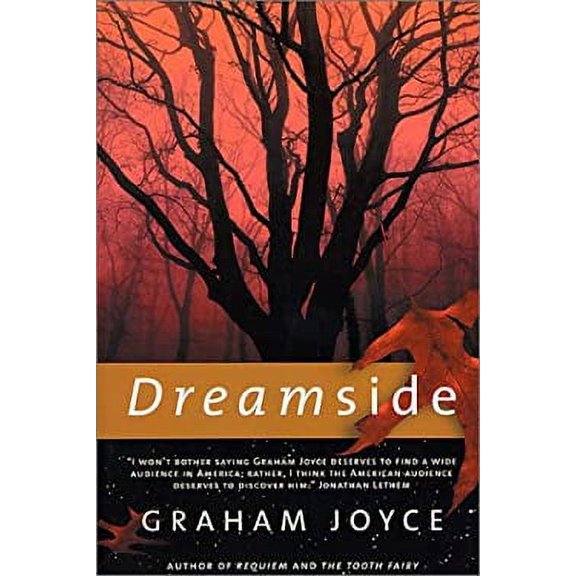 Pre-Owned Dreamside (Paperback 9780312875466) by Graham Joyce