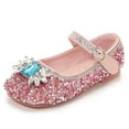 thumbnail image 1 of Dreamtale New Jelly Mary Jane Shoes Cosplay Frozen Elsa Anna Cinderella Princess Shoes for Kid(Snowflake Glitter Pink,7M US Toddler), 1 of 6
