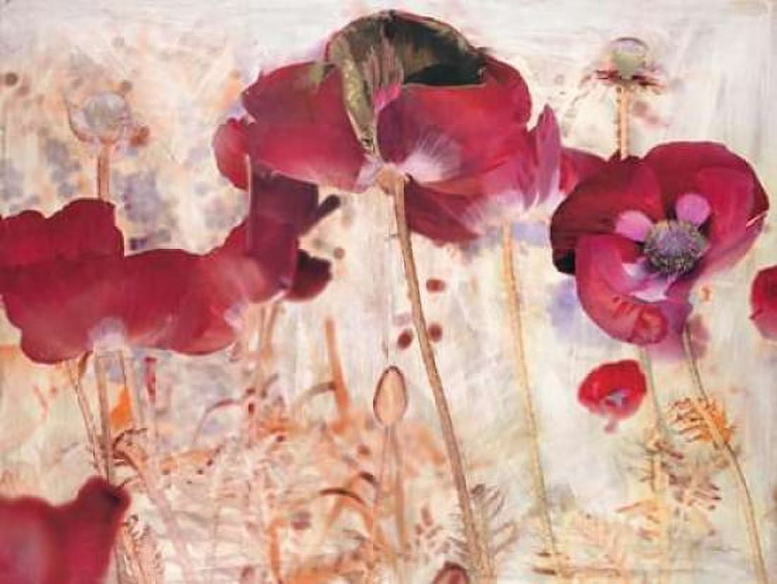 Dreamtime Poppies Canvas Art - Matina Theodosiou (22 x 28)