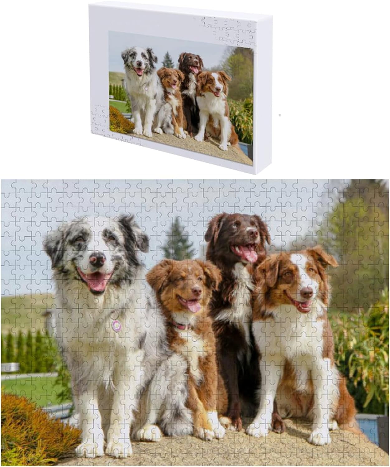 Dreamtimes 1000 Piece Jigsaw Puzzle for Kids Adults - Australian ...