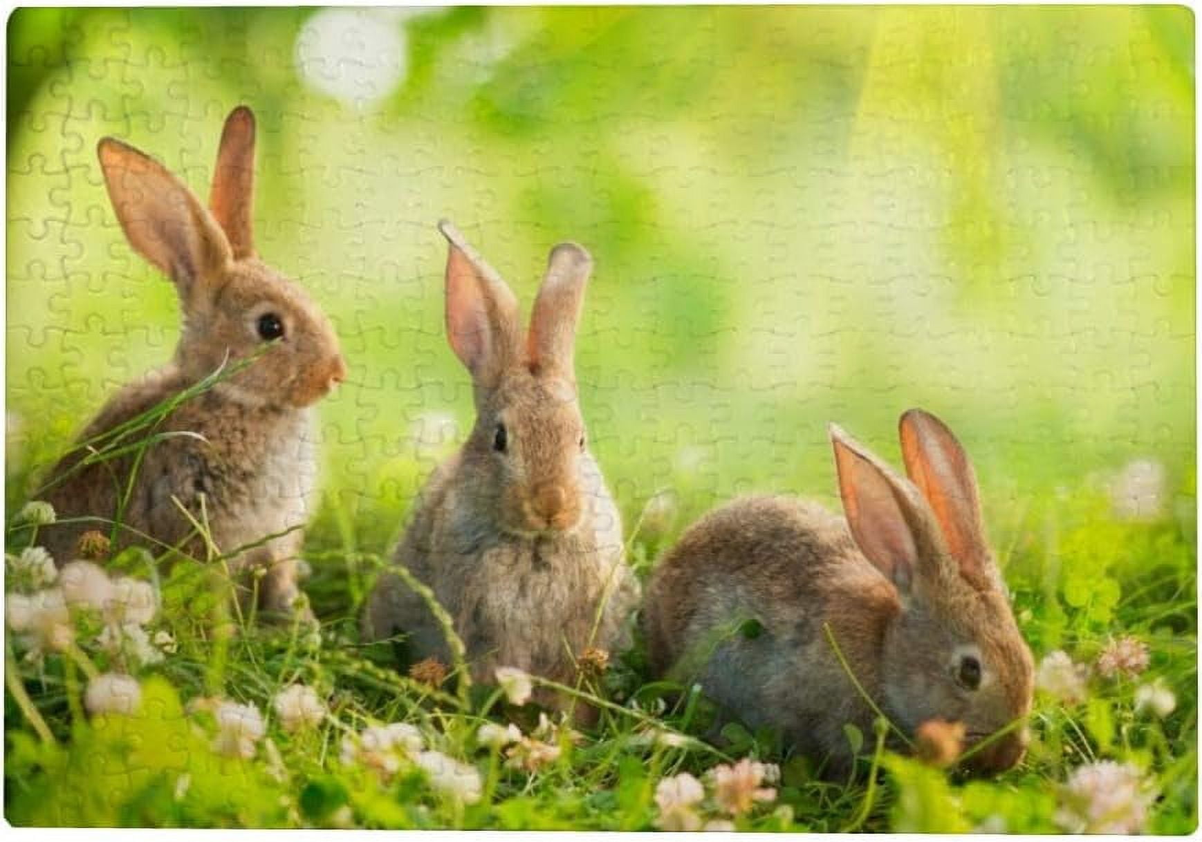 Dreamtimes 300 Pieces Wooden Jigsaw Puzzles Rabbits On Forest Educational Intellectual Puzzle