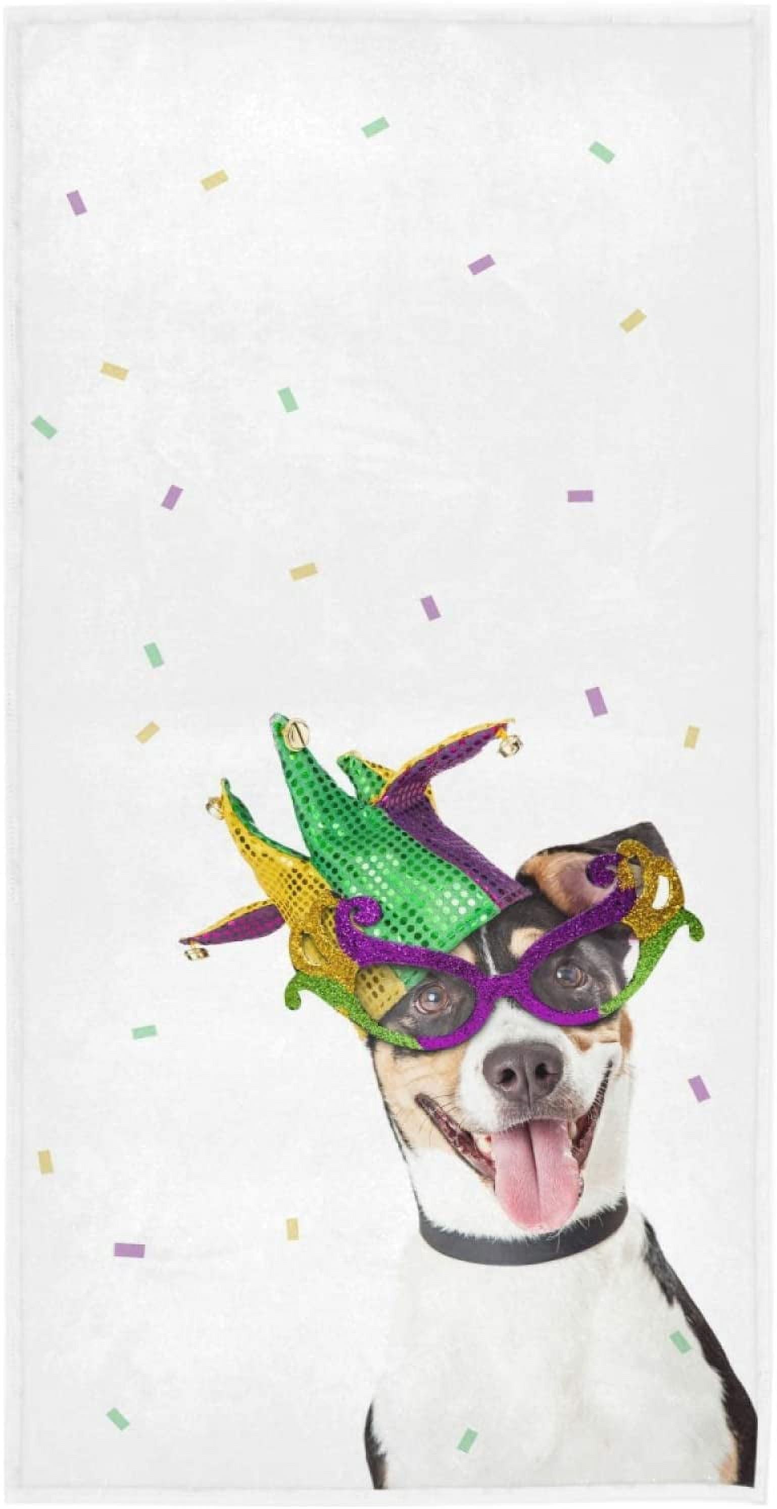 mardi gras carnival gym