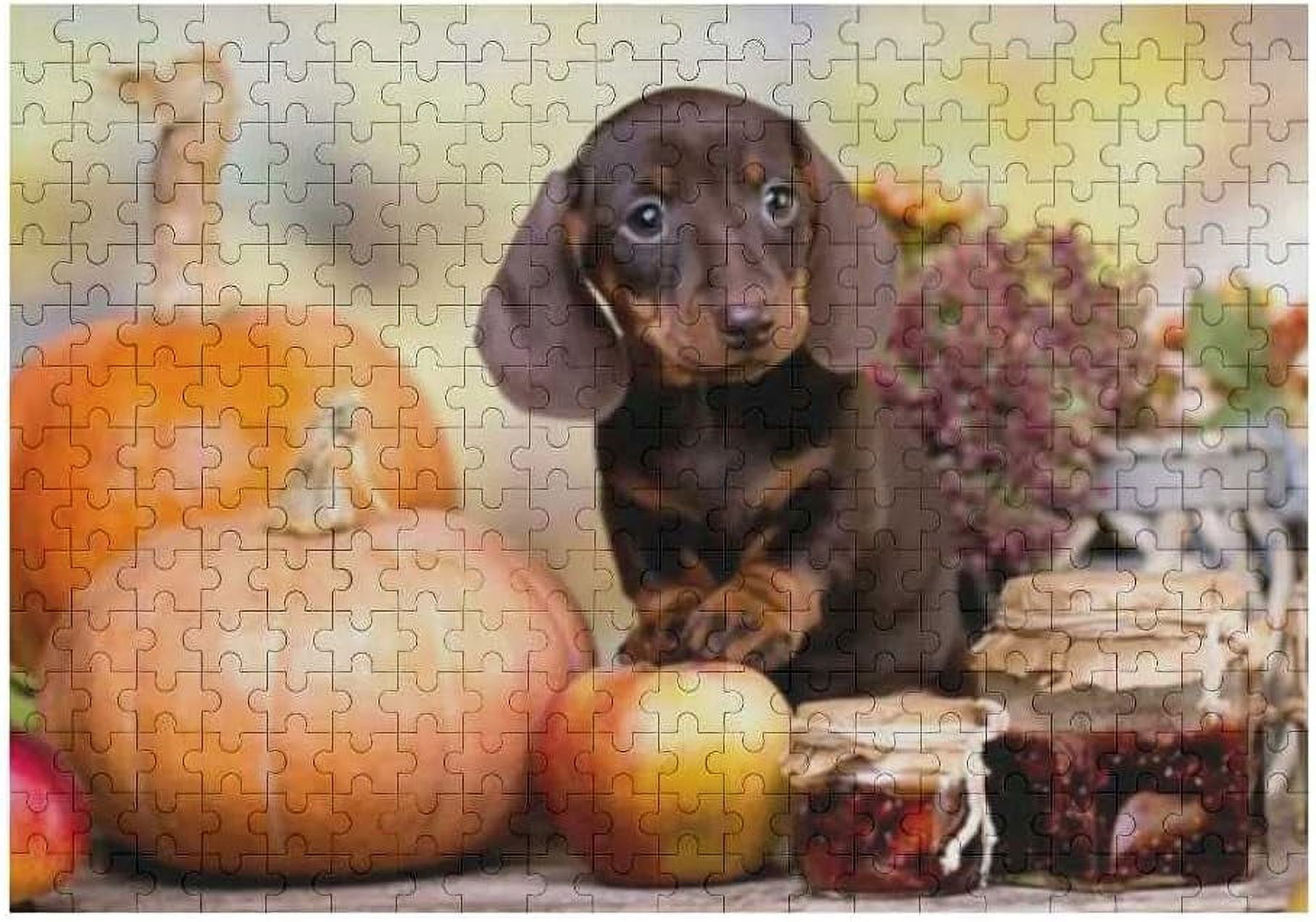 Dreamtimes 500 Pieces Jigsaw Puzzles Artwork Gift for Adults Teens Dogs