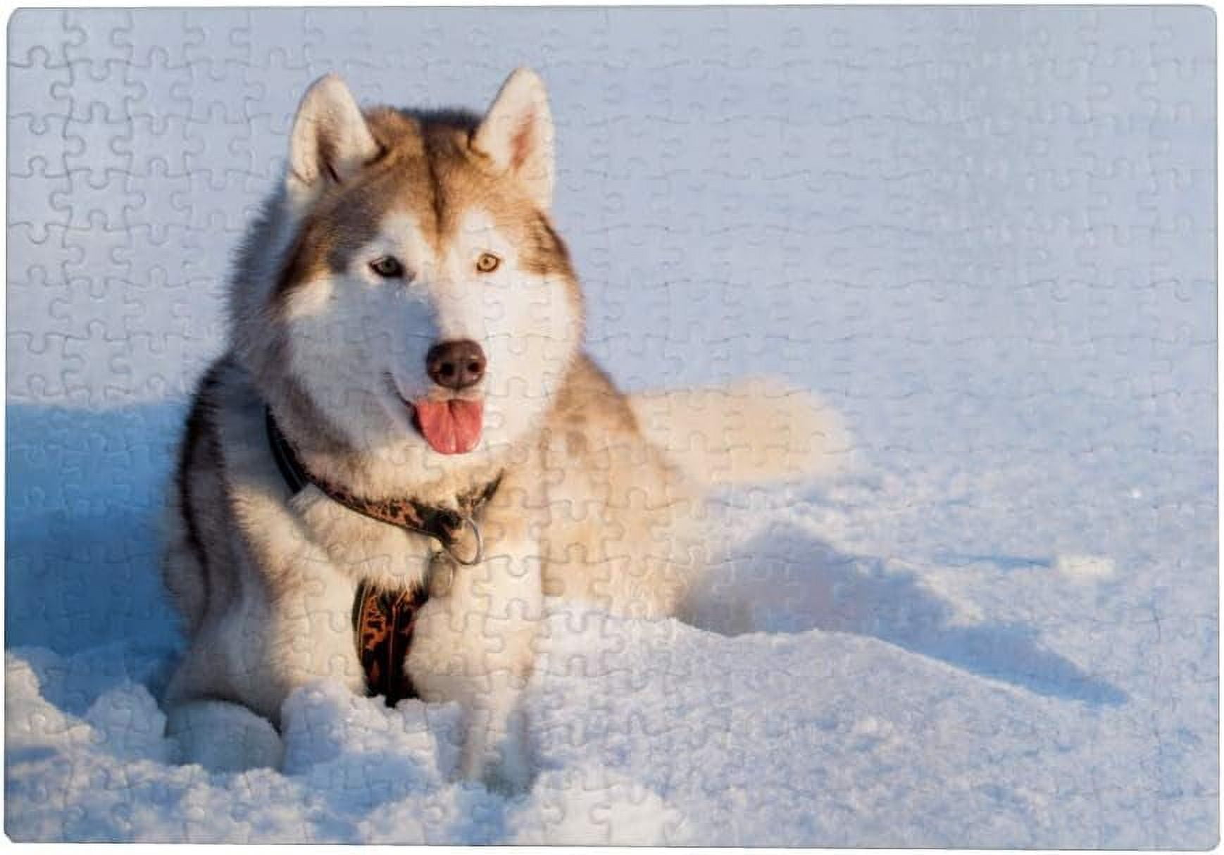 Dreamtimes 500 Pieces Jigsaw Puzzles Artwork Gift for Adults Teens