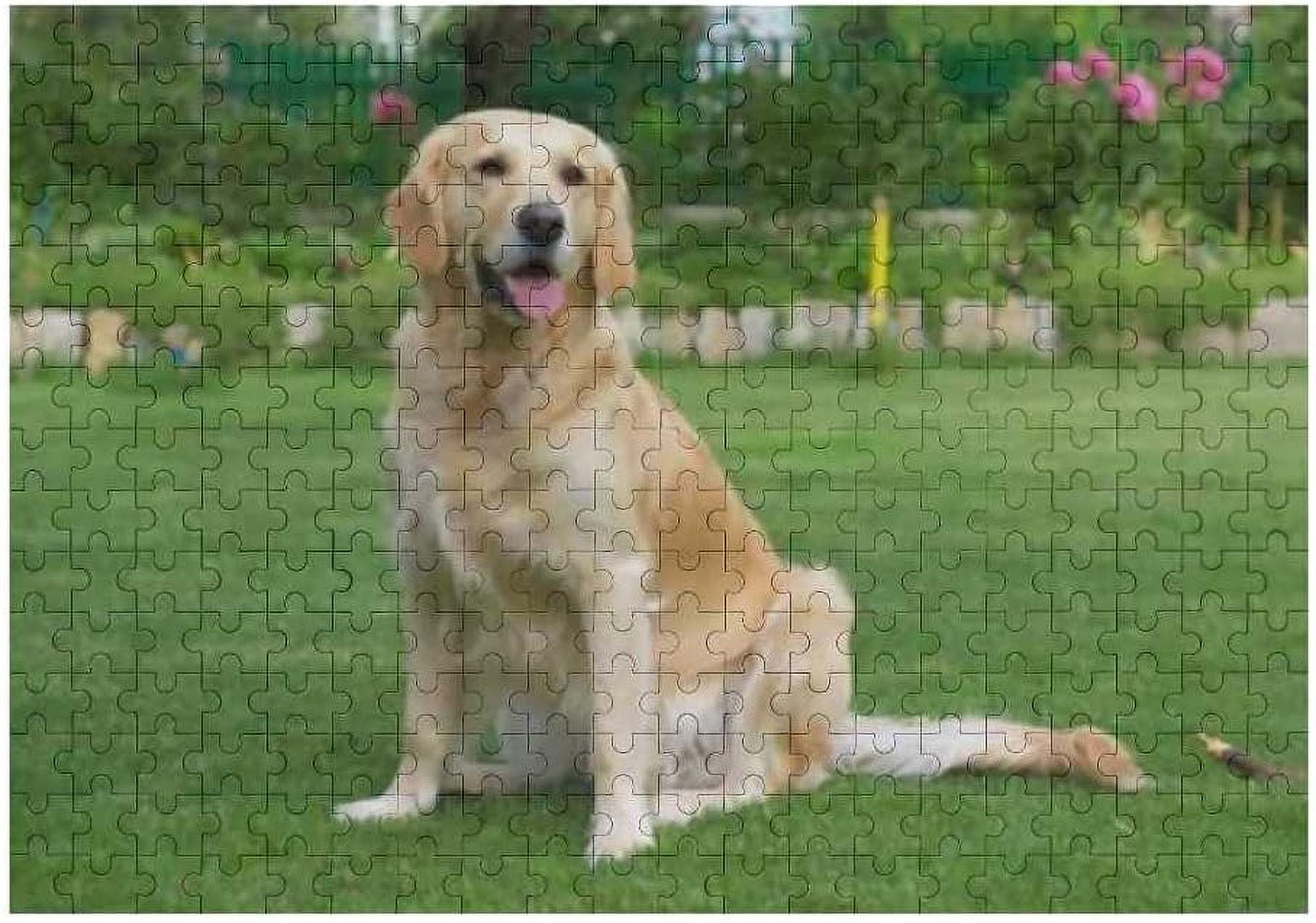 dreamtimes-500-pieces-wooden-jigsaw-puzzles-beautiful-golden-retriever