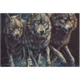 thumbnail image 1 of Dreamtimes Bathroom Rug Mats Three Wolves Walking Print, Bath Mats for Bathroom Non-Slip Super Soft Absorbent Microfiber Bath Rugs, Bathroom Rugs for Bathroom Floor, Tub and Shower, 24"x16", 1 of 4