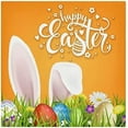 thumbnail image 1 of Dreamtimes Easter Bunny Eggs Cloth Napkins Set of 1, Oversized Washable Reusable Polyester Dinner Table Napkins for Family, Restaurant, Party Decor, 20"x 20", 1 of 7