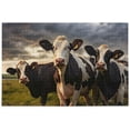 thumbnail image 1 of Dreamtimes Funny Cow 500 Piece Large Jigsaw Puzzle for Adults - Game Interesting Toys - Hand Made Puzzles Personalized Gift, 1 of 7