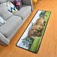 thumbnail image 1 of Dreamtimes Highland Cattle Pasture Hallway Runner Rug 2'x6' Kitchen Rug with Rubber Backing Grassland Animal Non Slip Entryway Rug Runner Washable Soft Area Rug for Hallway Bedroom Kitchen Decor, 1 of 6