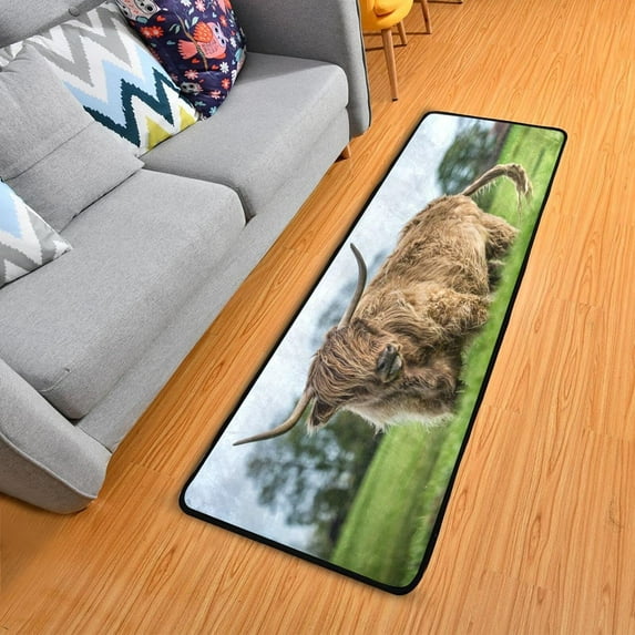 Dreamtimes Highland Cattle Pasture Hallway Runner Rug 2'x6' Kitchen Rug with Rubber Backing Grassland Animal Non Slip Entryway Rug Runner Washable Soft Area Rug for Hallway Bedroom Kitchen Decor
