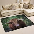 thumbnail image 1 of Dreamtimes Highland Cow Calf Cattle Non-Slip Area Rug Animal Funny Floor Carpet Comfort Floor Mats Decor for Indoor Front Porch,Living Room, Bedroom,Kitchen, 36"x24", 1 of 5