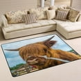 thumbnail image 1 of Dreamtimes Highland Cow Cattle Farm Non-Slip Area Rug Meadow Animal Floor Carpet Comfort Floor Mats Decor for Indoor Front Porch,Living Room, Bedroom,Kitchen, 36"x24", 1 of 5