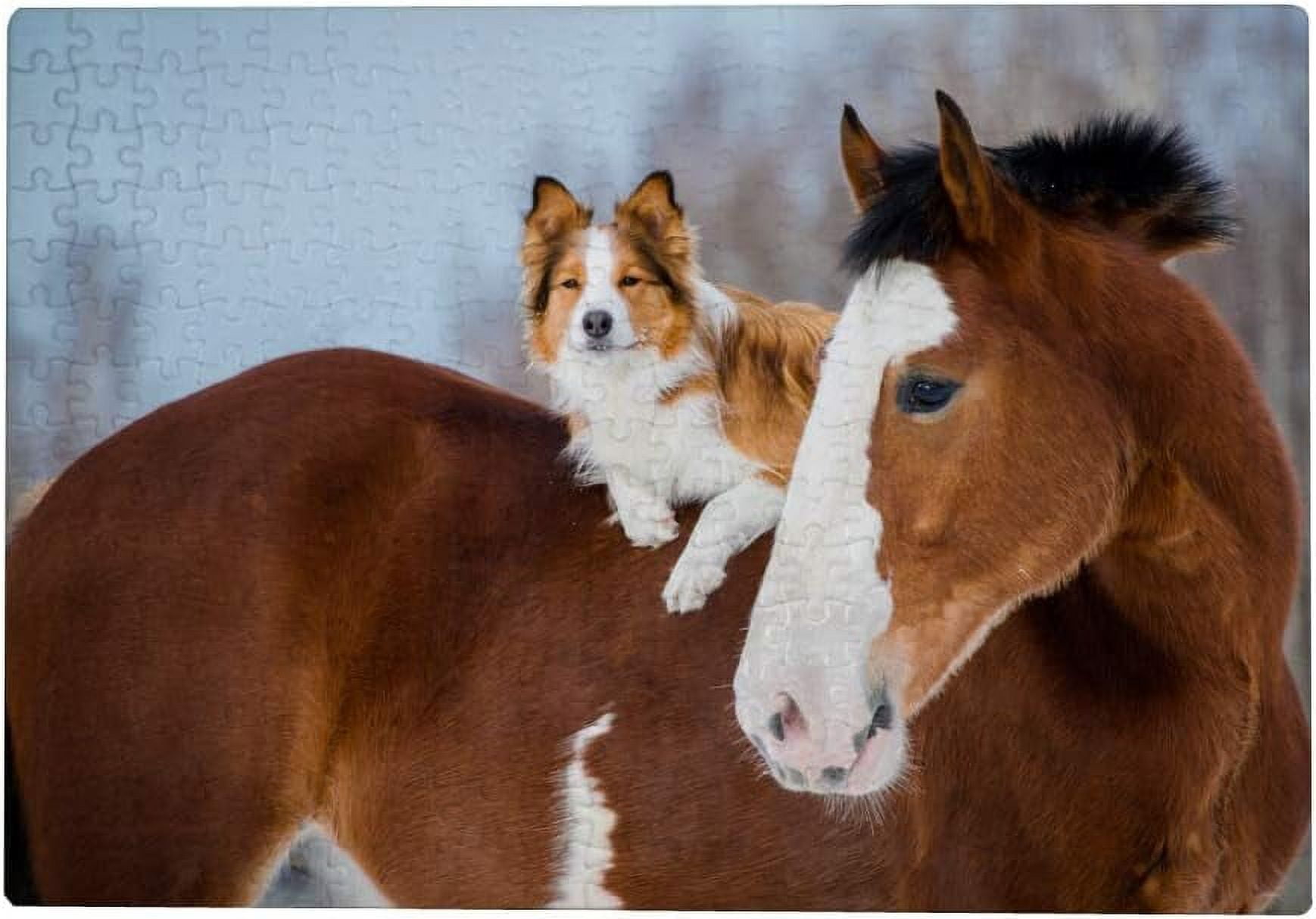 Dreamtimes Jigsaw Puzzles Artwork Gift for Adults Teens Horse and