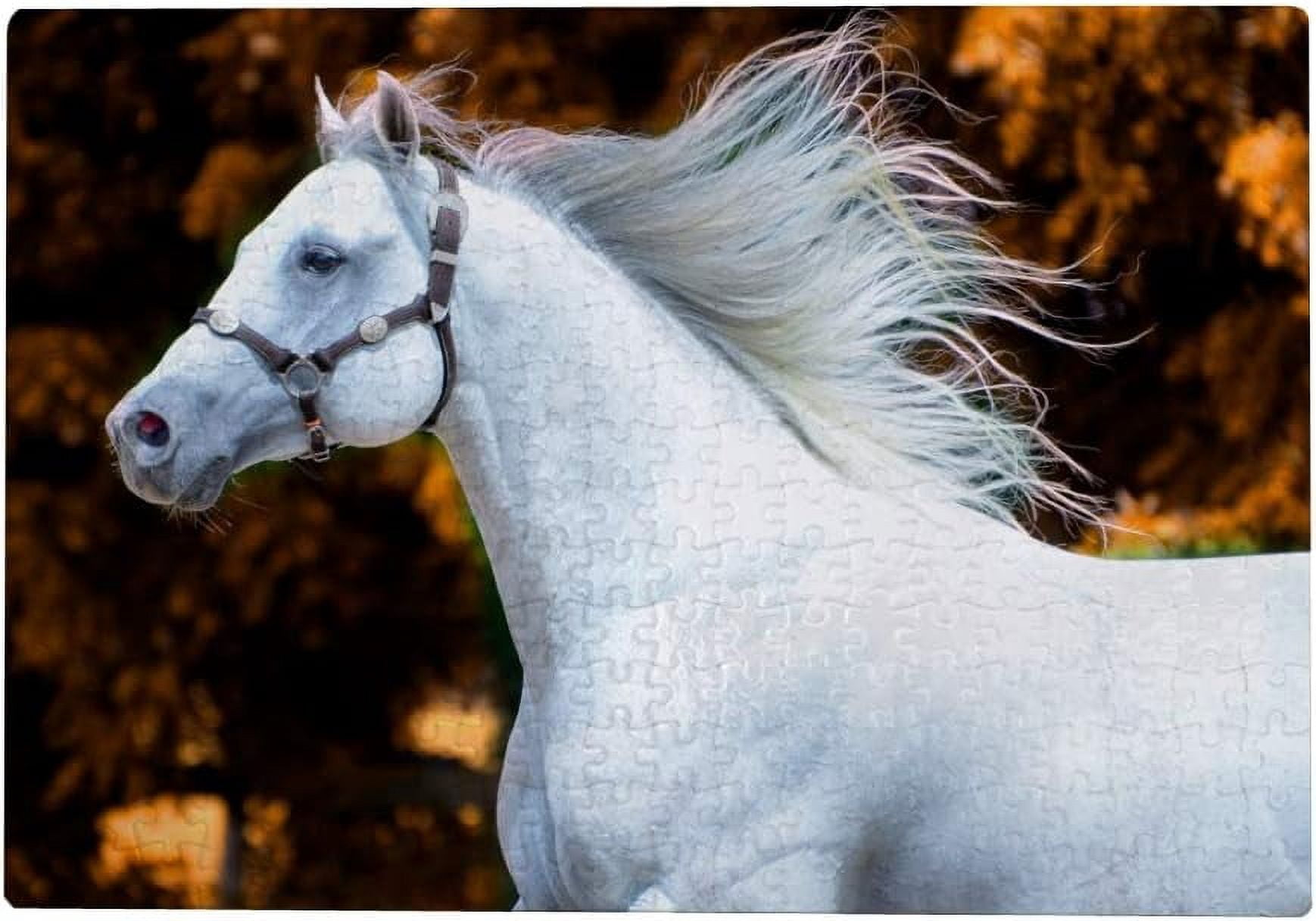 Dreamtimes Jigsaw Puzzles Artwork Gift for Adults Teens Horse in The ...