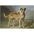 thumbnail image 1 of Dreamtimes Jigsaw Puzzles Artwork Gift for Adults Teens Saint Bernard Dog Wooden Puzzle Games, 500 Pieces, 1 of 7