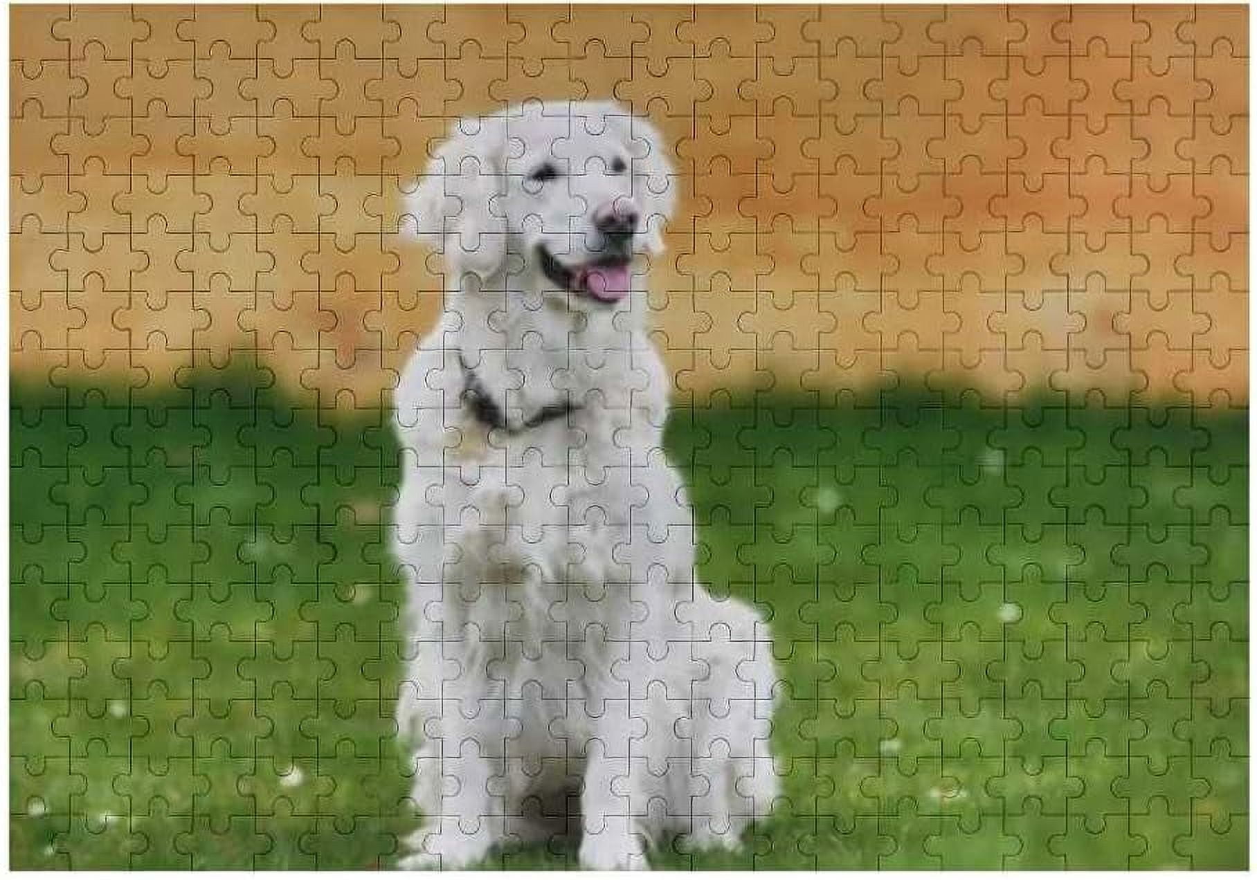 Dreamtimes Jigsaw Puzzles Artwork Gift for Adults Teens White Labrador Retriever Dog Laughing Wooden Puzzle Games 500 Pieces Walmart