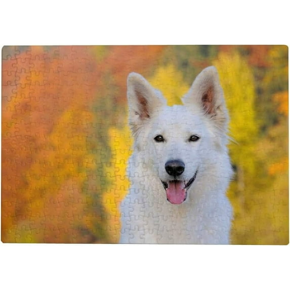 Dreamtimes Jigsaw Puzzles Artwork Gift for Adults Teens White Swiss Shepherd Dog in Autumn Wooden Puzzle Games, 300 Pieces