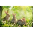 thumbnail image 1 of Dreamtimes Lightweight Soft Area Rugs 31x20 Inch, Rabbits Under Sunlight Floor Mat Doormat for for Rooms Entrance Hardwood Floor Living Room 2'7" x 1'8"） Nursery Rugs, 1 of 6