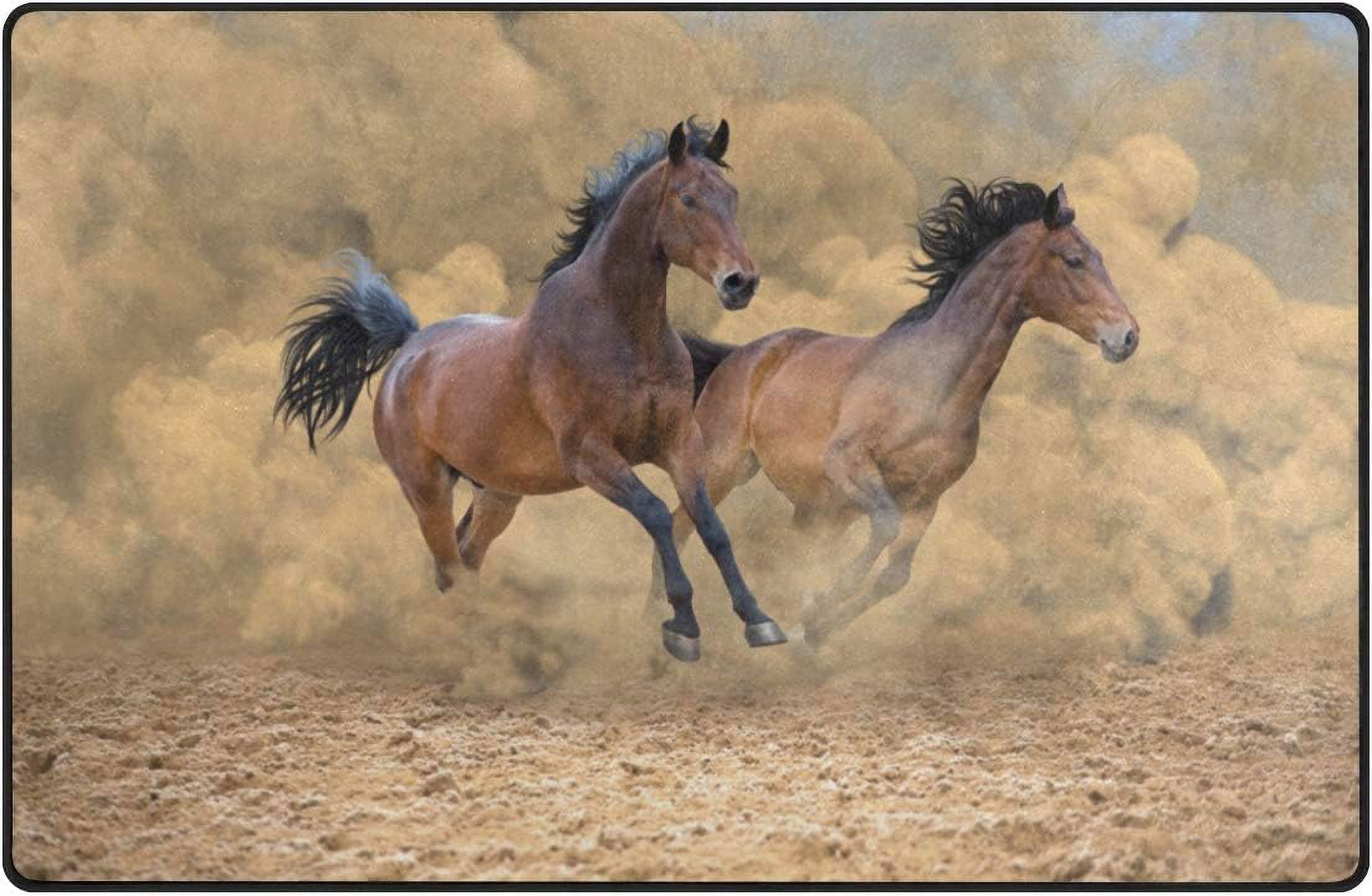 Dreamtimes Lightweight Soft Area Rugs 31x20 Inch, Running Horse Floor ...