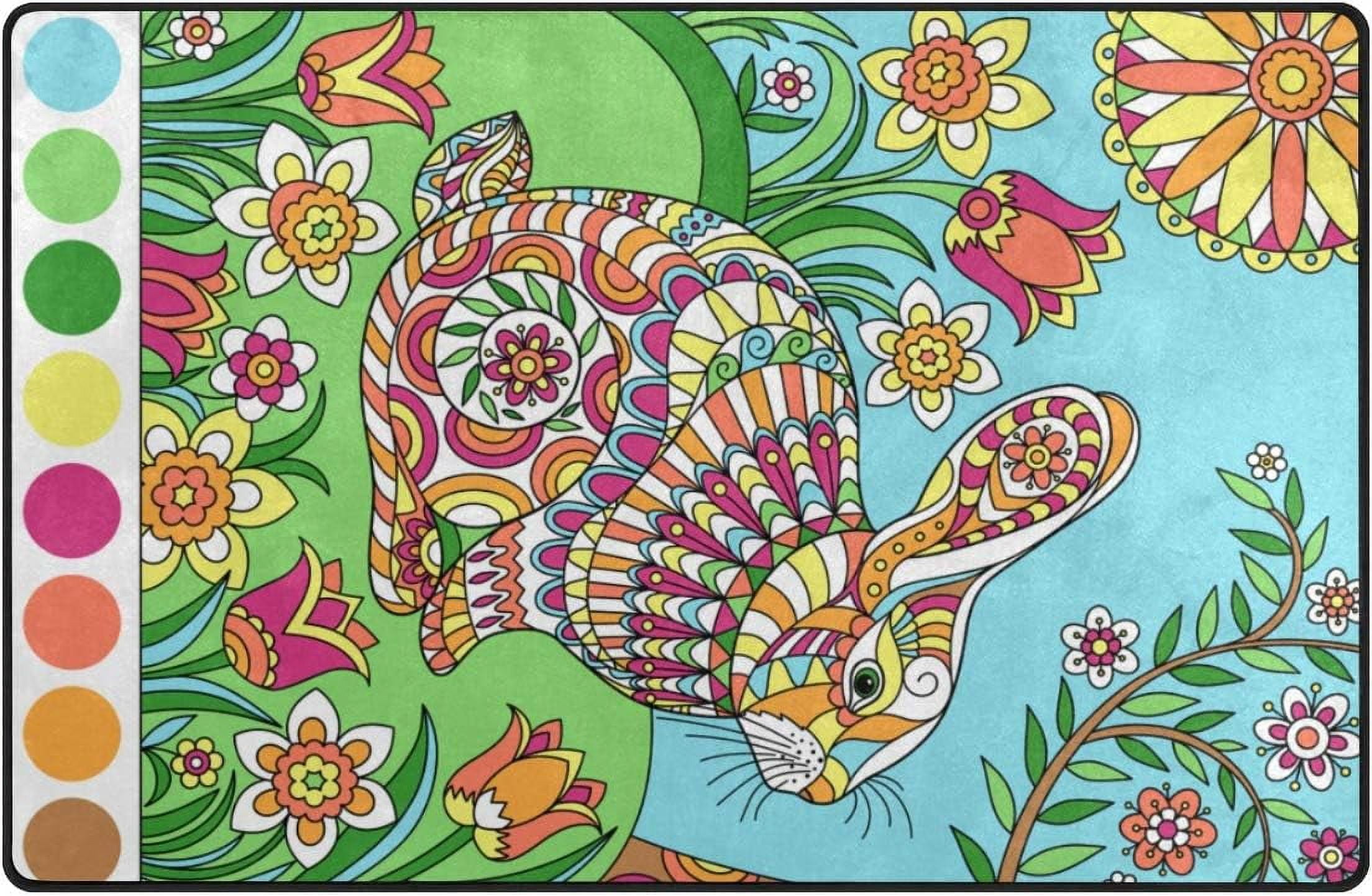 Dreamtimes Lightweight Soft Area Rugs 60 x 39 inch (5'x 3'3"), Colorful