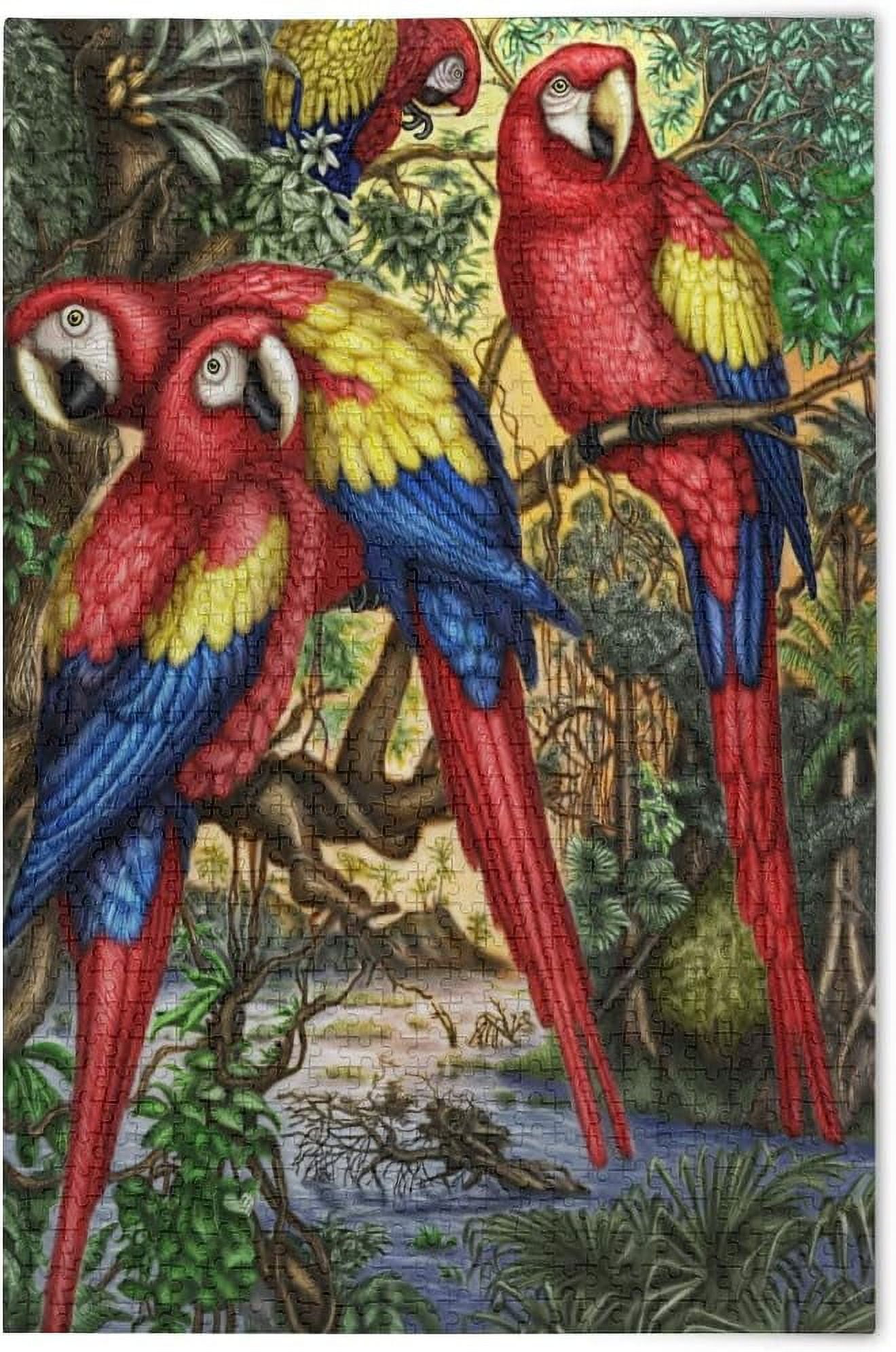 Dreamtimes Puzzles For Adults 1000 Piece Oil Painting Macaw Parrots