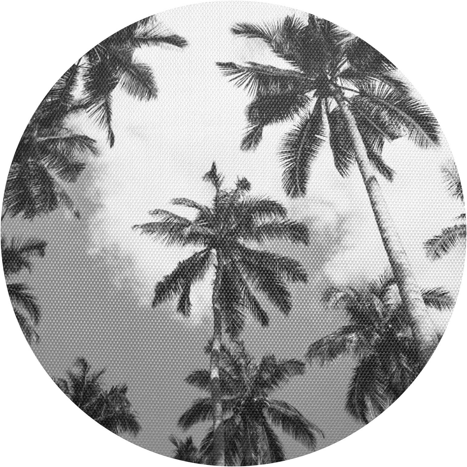 Dreamtimes Round Braided Placemats Coconut Palm Tree Round PVC Woven