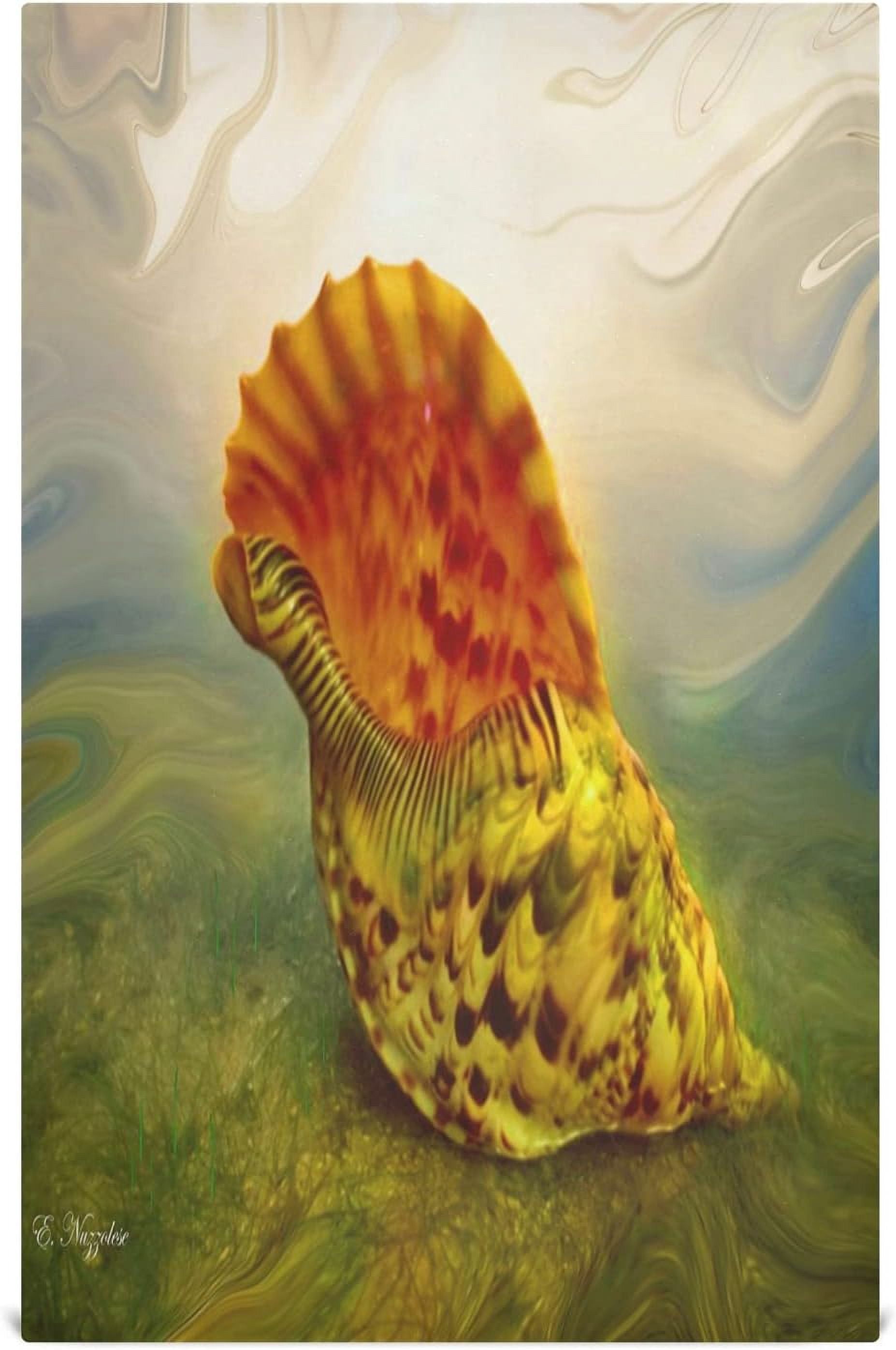 Dreamtimes Sea Shell Conch Kitchen Dish Towels, 18 Inch x 28 Inch ...