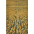 thumbnail image 1 of Dreamtimes Sunflower Fields Art Kitchen Dish Towels, 18 Inch x 28 Inch Dishcloths, Dish Cloths for Washing Dishes Dish Rags and Drying Dishes, 1 of 7