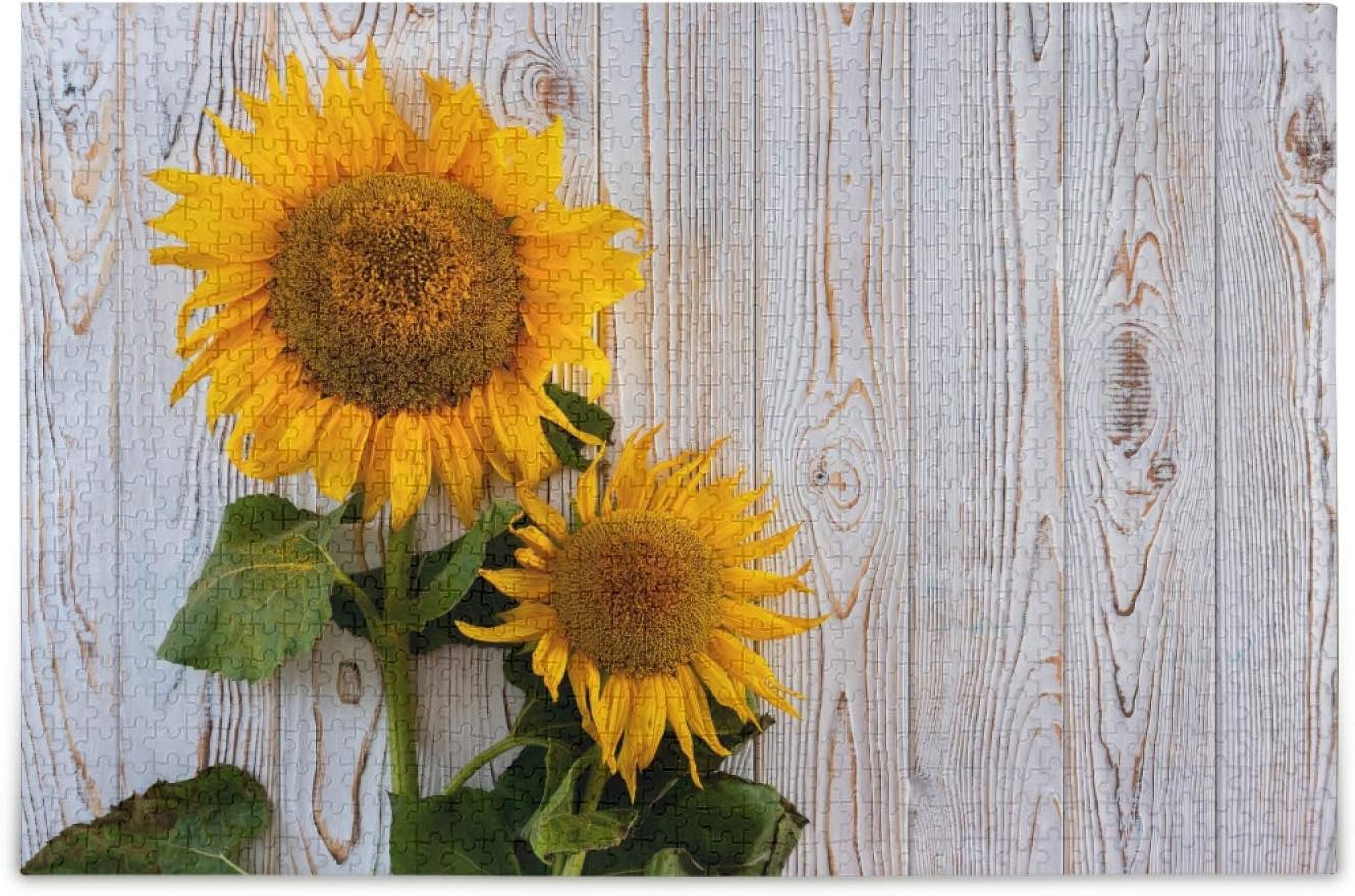 1000 Piece Jigsaw Puzzle - Cute Teddy Bears With Sunflowers, Letters On Back For Easier Sorting