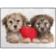 thumbnail image 1 of Dreamtimes Two Lover Valentine Havanese Puppies Lightweight Carpet Mats, 5'3" x 4' Area Soft Rugs, Floor Mat Rug Home Decoration for Kids Room Living Room, 63"x 48", 1 of 6