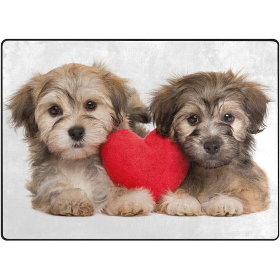Dreamtimes Two Lover Valentine Havanese Puppies Lightweight Carpet Mats, 5'3" x 4' Area Soft Rugs, Floor Mat Rug Home Decoration for Kids Room Living Room, 63"x 48"