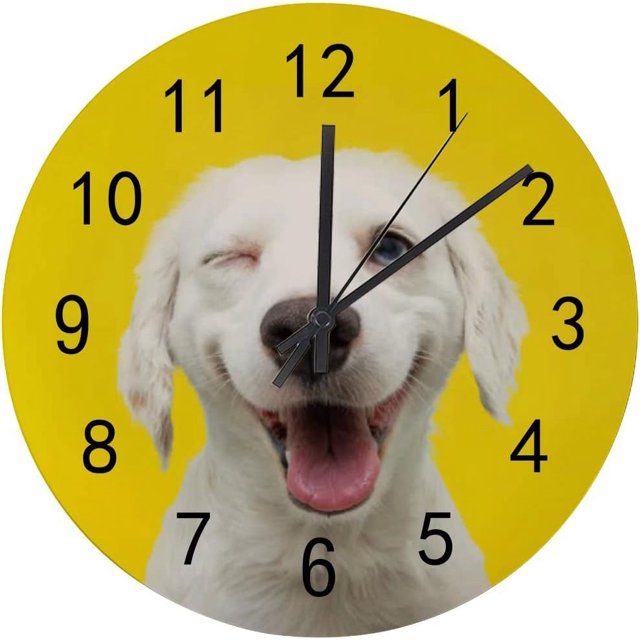 Dreamtimes Wooden Round Wall Clock, 12 Inch Happy Dog Puppy Winking an