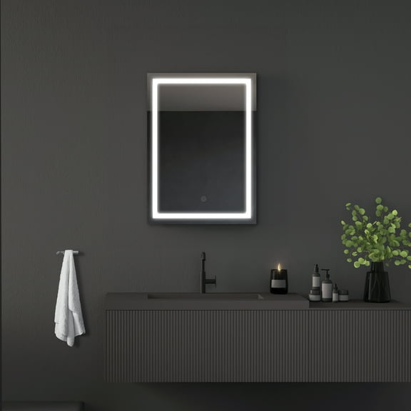 Dreamwerks Riga 24" x 32" LED Mirror with Dimmer and Defogger